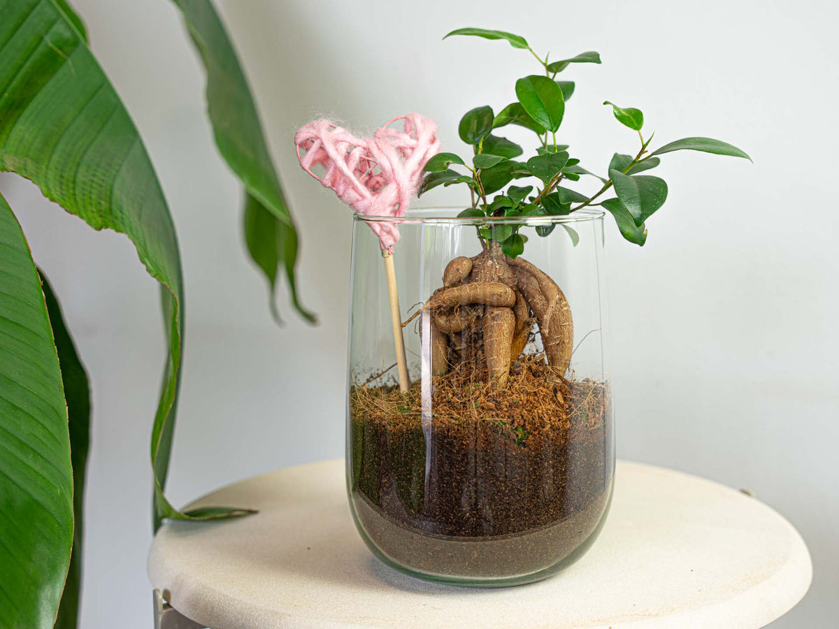 Vase Martin - Diy Kit - ↑ 17 Cm