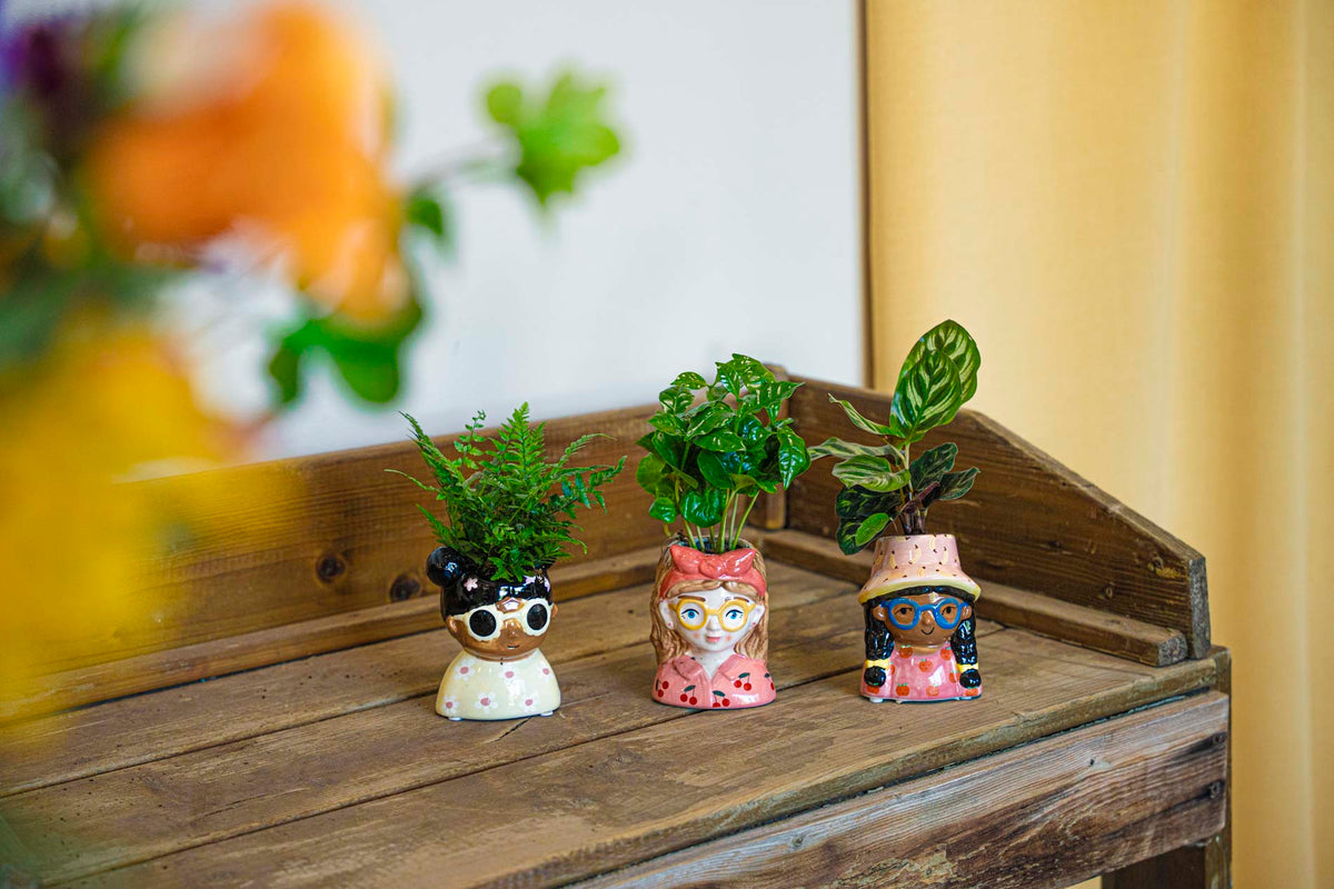Mini Flower Pot Multi Color – Mini Jessica - ↑ 10.5 Cm - Face Head