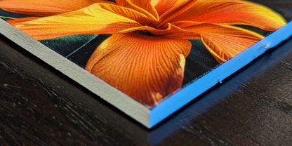 Dibond :: Rendez vos souvenirs durables !