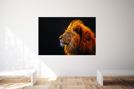 Plexiglas :: Lion